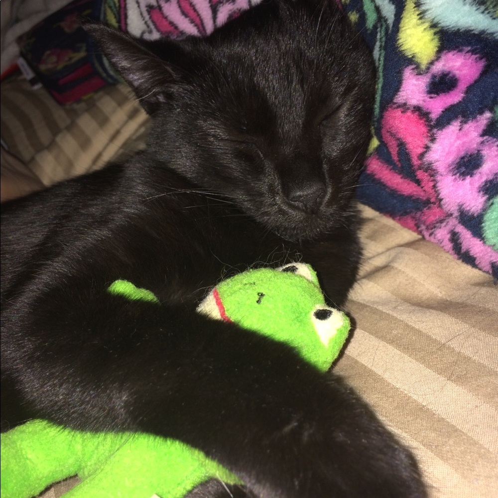 Meet your Posher, Tara